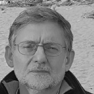 Domenico de Luca